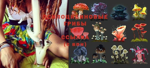 МДМА Белокуриха