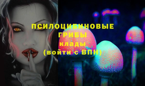 дмт Белоозёрский