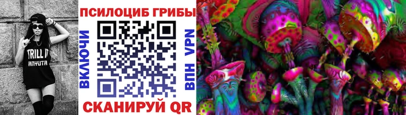 Галлюциногенные грибы Cubensis  Мезень 